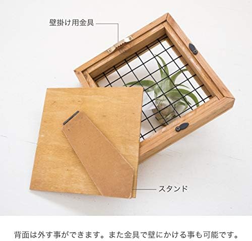 Heads DIP-WWF1 Heads Display Wire Wood Frame 2 Pieces