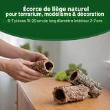 Sphagnum-Shop tubes en liège naturel, 15 à 20 cm, filet de 6 à 7 photo 3