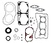SARUEIR Complete Gasket Kit 09-711306 Compatible with Snowmobile Polaris 800 IQ Dragon, RMK (Yr. 2008-2010)
