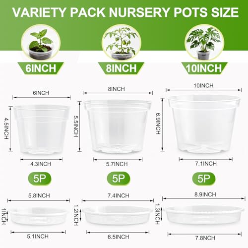 6/8/10 Inch Clear Nursery Pots with Saucers and 15 Pack Plant Labels,Transparent Plastic Plant Pots with Drainage Holes,Sturdy Seed Starter Pots for Succulents,Herbs,Flowers,Indoor Outdoor Plants by Amasiver - Image 2