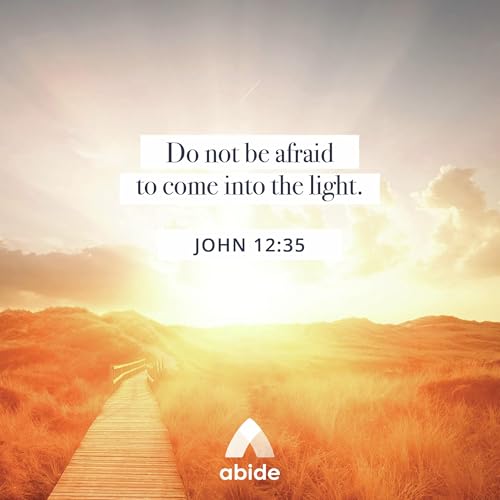 Facing Our Dark Sides Podcast Por  arte de portada