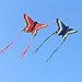 HENGDA KITE for Kids and Adults Amazing Colorful Butterfly Kite for Outdoor Games and Activities Single Line Kite with Flying Tools