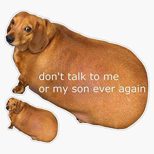 Don't Talk to me or My Son Ever Again - Geek Sticker Sticker Decal Bumper Sticker Waterproof 5"