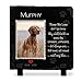 Brd Gifts Pet Memorial Stone with Photo - 6