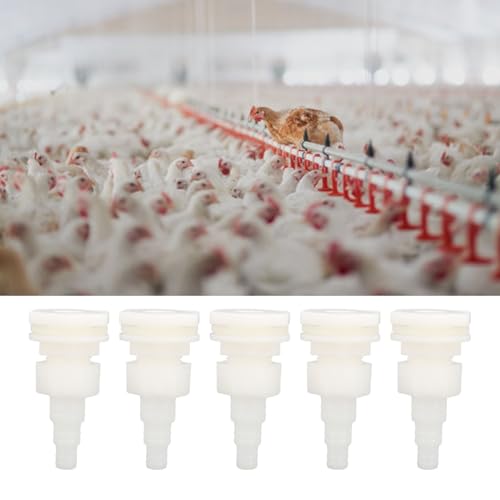 Conector de Mangueira de Rega de Frango, Kit de Conector de Balde de água Conjunta de Mangueira Disp