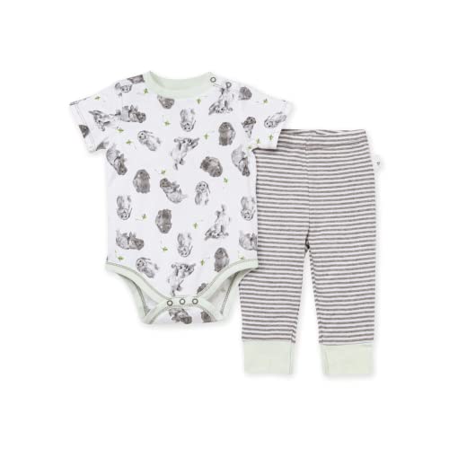 Image of Burt's Bees Baby Unisex Bodysuit and Pant Set, 100% Organic Cotton