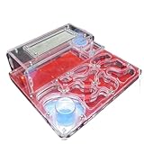 OUYUE Ameisennest Acryl Ameisenburg DIY Twin Wassertürme Ameisennest Farm Öko-Werkstatt Wissenschaft Ameisenfarm(Rood)