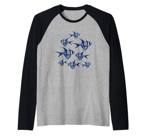 Raglan Bangaii Cardinal Tee