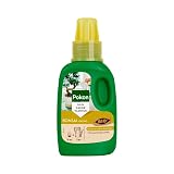 Bio Bonsai Dünger 250 ml – Organischer Flüssigdünger für Bonsai, Zimmerbonsai & Indoor Bonsai – Fördert Wurzelwachstum, Blattgesundheit und kräftiges Wachstum