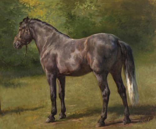 Pintura de caballo por número para adultos con lienzo y acrílicos