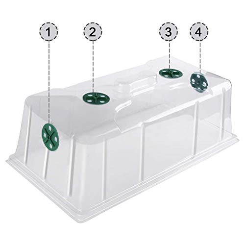 Caixa de Cultivo de Sementes de Plantas Com 6 Peças - Caixa de Cultivo de Sementes de Plantas Com 12