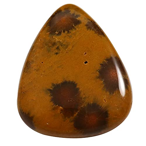 Cabochon de jaspe océanique naturel de 23,55 carats pour création de bijoux de taille Small
