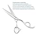 Professional Hair Shears 6