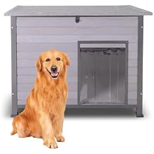 Seiyierr Dog House Outdoor with Prevent Chewing Iron Frame, Cat Houses Removable Floor and Open Roof for Dogs,Cats,Rabbits Animals