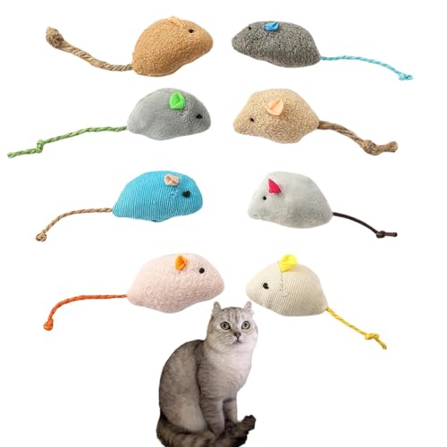 Lifetips AJJ[ American Curl Lp lY~ʂ 8Zbg qL L V XgXU ^s ӂӂf L炵  ybgObY