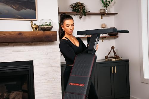 PowerBock PowerBench 2.0 Dip Attachment – Adjustable Triceps and Chest Workout Equipment for Home Gym Strength Training by POWERBLOCK - Image 2