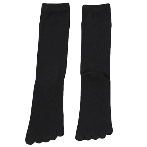 [XeeR] 5{w\bNX fB[X nCN[  C ėp nC\bNX 24-26cm 