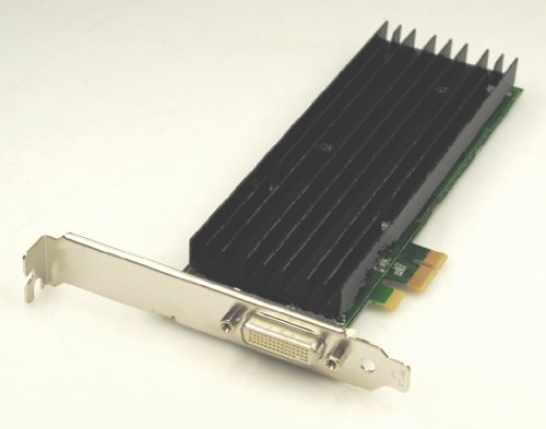 NVIDIA Quadro NVS 290 NVS290 S26361-D1473-V33 GS5 - Tarjeta gráfica (256 MB, DVI Z104)