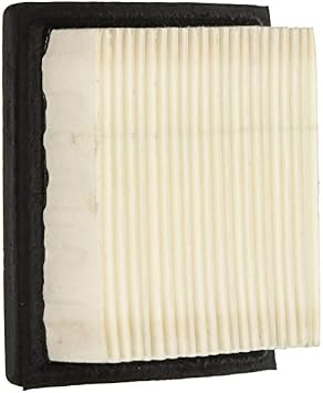 Tecumseh 36046 Air Filter