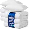 Winter Duvet 140 x 200 cm Quilts Sleeping Blanket Warm Quilt White Set 2 x White Duvets with 2 x Pillows 40 x 80 cm