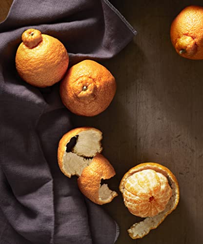 Mandarin Dekopon #TOP4