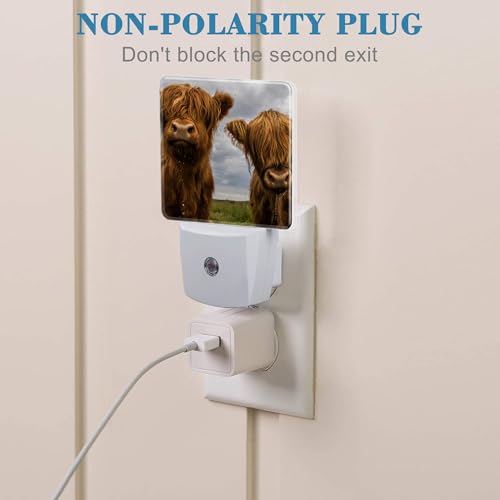 Image of Highland Cows Night Light with Dusk to Dawn Sensor for Kid Girls Boys Women Men Room Decor, Hallway, Kitchen, Bathroom, Nursery, Stairs