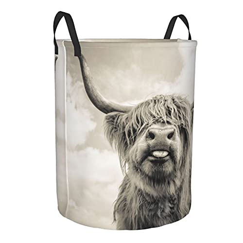 Foruidea Highland Cow Laundry Basket,Laundry Hamper,Collapsible Storage Bin,Oxford Fabric Clothes Baskets,Nursery Hamper For Home,Office,Dorm,Gift Basket #TOP1
