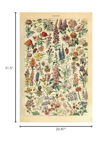 Meishe Art Vintage Poster Print Flower Floral Botanical Collections Garden Flowers and Plants Identification Reference Chart Diagram Home Wall Decor - Image 8