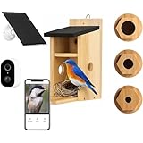 Smart Bird House with Camera - Solar Powered AI Bird Feeder with 4MP Color Night Vision, AI Species Recognition & IP66 Waterproof, Ideal Gift for Bird Lovers
