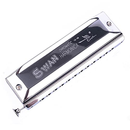 Harmonica Harmonica coloré 12 trous 48 tonalités orgue à bec de cygne clé C instrument d’harmonica coloré anches - Les Beatles, Paul McCartney, John Lennon, RIngo Starr, George Harrison Harmonica Harmonica coloré 12 trous 48 tonalités orgue à bec de cygne clé C instrument d'harmonica coloré anches – Image 3