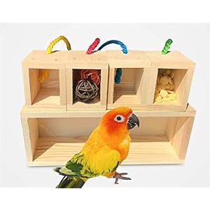 DUJIAOSHOU Houten vogelspeelgoed, speelgoed pedagogische training creatief blok gekleurd intelligent speelgoed voor…