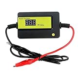 Wenn der Artikel mit hellem Blitz und etwas Brummen funktioniert, ist er in gutem Zustand.