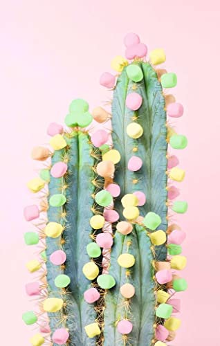 Puzzle Moment 200 pièces : Cactus Ravensburger France - vue 4