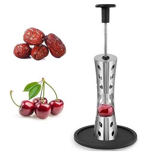 41OSrQo0vDL._SS520_ Best cherry deseeder