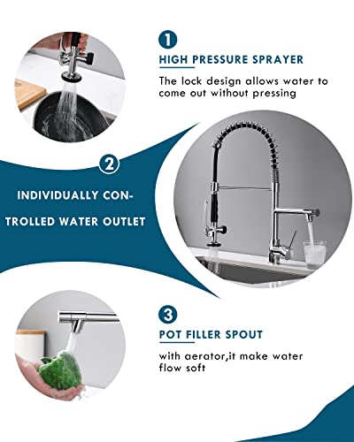 Fapully Chrome Kitchen Faucet With Sprayer,Commercial Single Handle Pull Down Kitchen Sink Faucet #TOP1