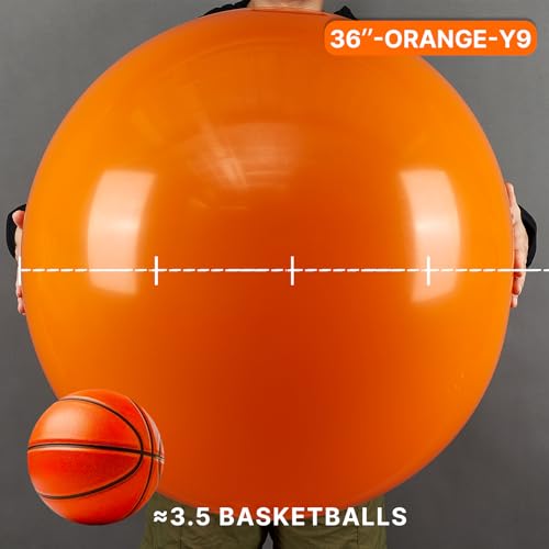Image of PartyWoo Orange Balloons 4pcs 36 Inch Fall Latex Helium Balloons for Birthday Baby Shower Graduation Tangerine Little Cutie Pumpkin Tropical Sunshine Boho Theme Party Decorations Orange-Y9