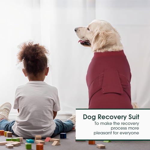 Kuoser Dog Surgery Recovery Suit, Recovery Suit for Female Male Dogs, Dog Onesie After Surgery Spay Neuter, Anti-Licking Pet Surgical Recovery Snugly Suit, Bodysuit for Abdominal Wounds Skin Disease by Kuoser - Image 6
