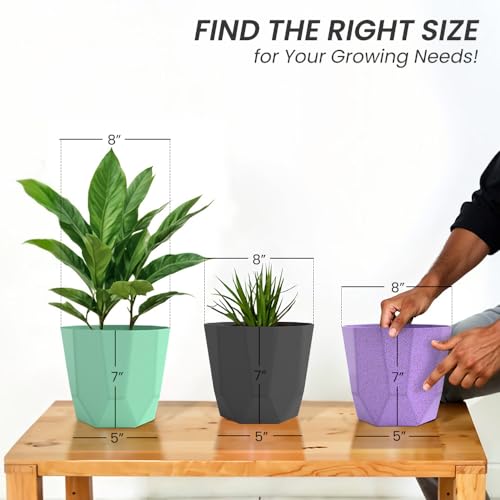 Image of YUCCABE ITALIA SHERA Hexa Plastic Planter Pot for Plants | Decorative Flower Pot | UV Protected Lightweight Indoor Outdoor Gamla for Home Decor, Balcony, Garden & Living Room