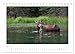 Alaska 2026 (Desk Calendar 2026 DIN A5 Landscape), CALVENDO Monthly Calendar: Monthly Calendar with Pictures from Alaska