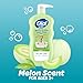Dial Kids All-in-1 Body Wash + Hair + Bubble Bath, Melon Scent, 24 Fl Oz, Pack of 4, Hypoallergenic Body Wash & Shampoo, No Tears Formula for Kids 2+ Years, No Parabens & Silicones