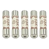 Hxchen 13A 250V Ceramic Fuse 6x25mm Cartridge Fast Blow Tube for Power Strip Experiment Circuit Appliance Repair - (5 Pcs)