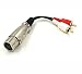 BesYee XLR Y Splitter Patch Cable, 1 XLR Female to 2 RCA male Adapter Cable 6inch (XLRFM-2RCAM)