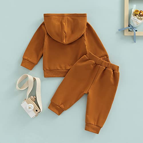 Sprifallbaby Baby Boy Sweatsuit Outfits Solid Color Hoodie Sweatshirt Sweatpants Toddler Infant Spring Fall Clothes Set (All Brown, 2-3 Years)