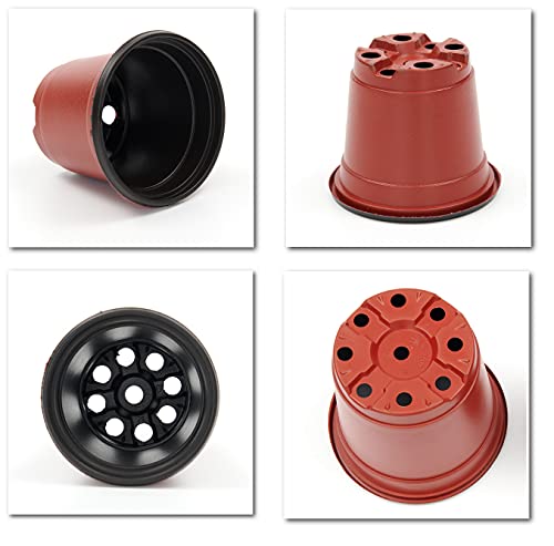 Rootrimmer 100-Pack Sturdy 4 Inches Round Plastic Nursery Pots Seedling Planter Pots Thickend Bottom (100, 10Cm, Round) #TOP6