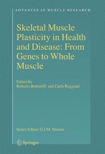 Skeletal Muscle Plasticity in Health and Disease: From Genes to Whole Muscle (Advances in Muscle Research Book 2)