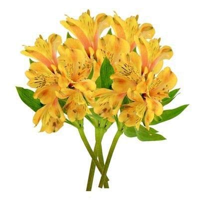 Galho De Astromélia Amarela Artificial Com 7 Flores