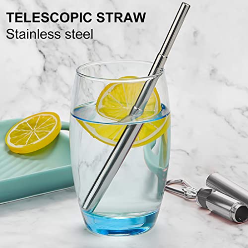 Set di 2 cannucce in acciaio inox riutilizzabili