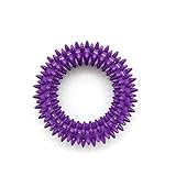 Best Pet Supplies, Inc. Pet Rubber Chew Toy - Dental Ring, Purple, Small (RT09-PP-S)