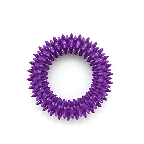 Best Pet Supplies, Inc. Pet Rubber Chew Toy - Dental Ring, Purple, Small (RT09-PP-S)