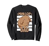 Mini Lop Designs